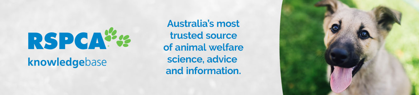 RSPCA Knowledgebase