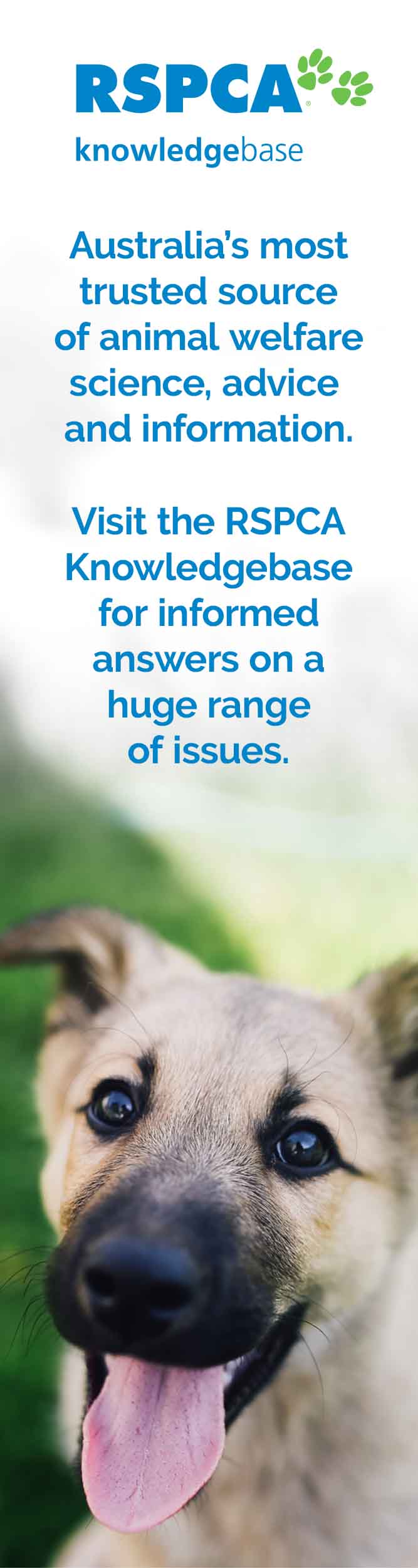 RSPCA Knowledgebase