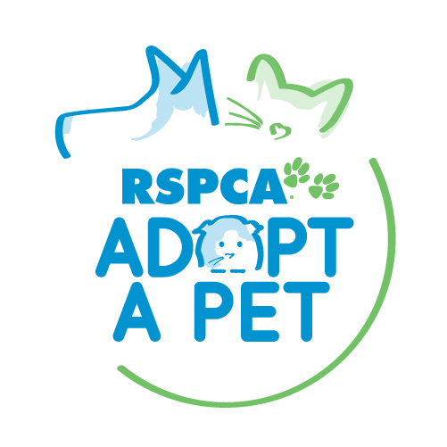 rspca small dogs for adoption